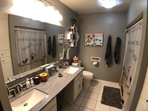 834 E Locust St, Ladd, IL 61329 photo 12