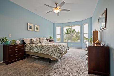 24535 Champion Dr, Plainfield, IL 60585 photo 14