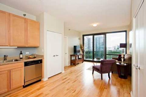 1 E 8th St #301, Chicago, IL 60605 photo 4