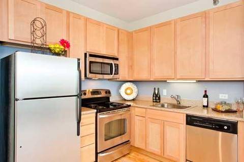1 E 8th St #301, Chicago, IL 60605 photo 2