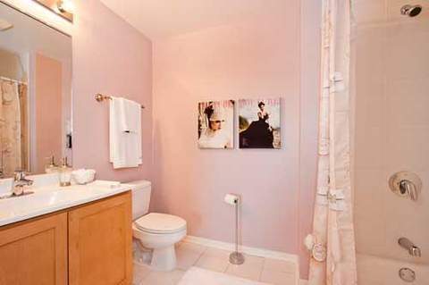 1 E 8th St #301, Chicago, IL 60605 photo 8