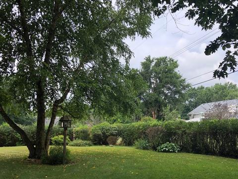 1790 E North St, Morris, IL 60450 photo 7