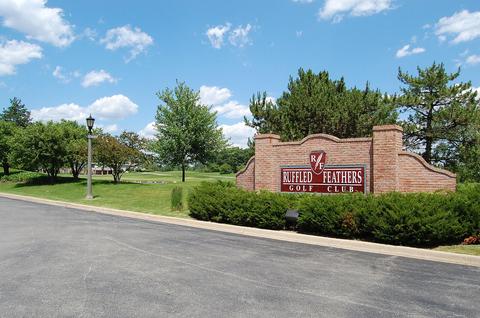 75 Ruffled Feathers Dr, Lemont, IL 60439 photo 8