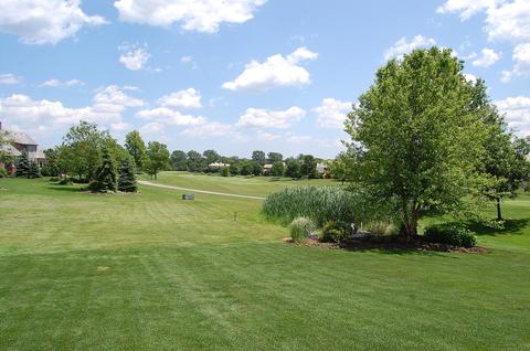 75 Ruffled Feathers Dr, Lemont, IL 60439 photo 23