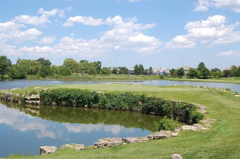 75 Ruffled Feathers Dr, Lemont, IL 60439 photo 20