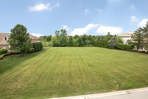 75 Ruffled Feathers Dr, Lemont, IL 60439 photo 1