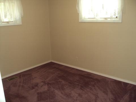 1565 Eater Dr, Rantoul, IL 61866 photo 8