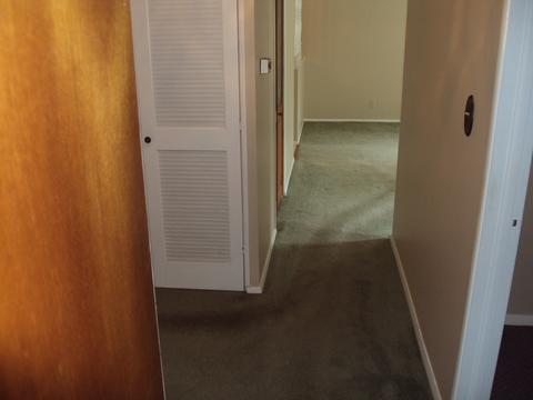 1565 Eater Dr, Rantoul, IL 61866 photo 5