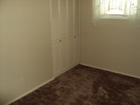 1565 Eater Dr, Rantoul, IL 61866 photo 9