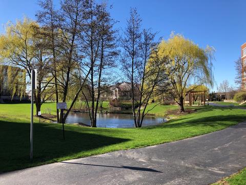 720 Prestwick Ln #202, Wheeling, IL 60090 photo 13