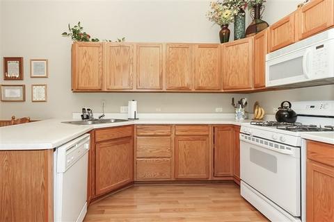 123 Deer Run Ln, Elgin, IL 60120 photo 10
