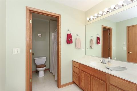 123 Deer Run Ln, Elgin, IL 60120 photo 20