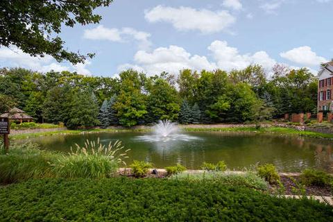 119 Spring Ave, Naperville, IL 60540 photo 33