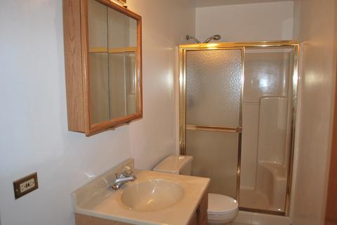 210 E Rust Trl, Willow Springs, IL 60480 photo 13