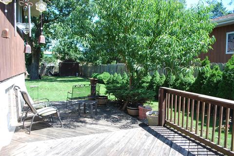 210 E Rust Trl, Willow Springs, IL 60480 photo 17