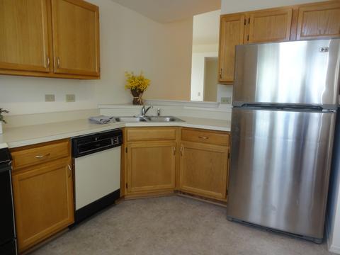 433 Cromwell Cir #2, Bartlett, IL 60103 photo 10
