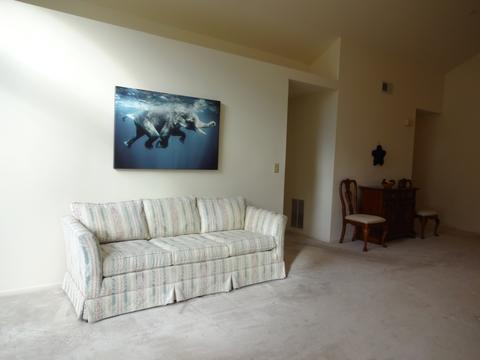 433 Cromwell Cir #2, Bartlett, IL 60103 photo 4