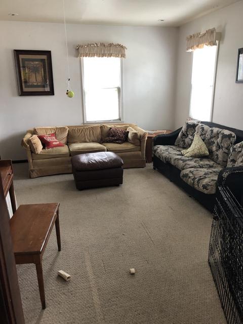 215 E Custer St, Lemont, IL 60439 photo 5