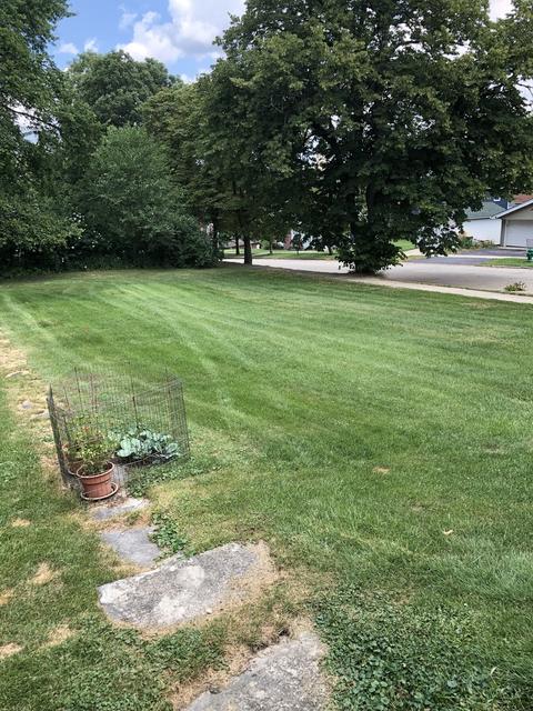 215 E Custer St, Lemont, IL 60439 photo 7