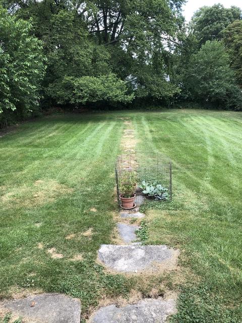 215 E Custer St, Lemont, IL 60439 photo 6