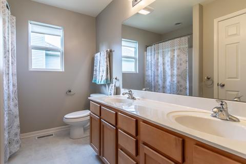 12829 Tipperary Ln, Plainfield, IL 60585 photo 53