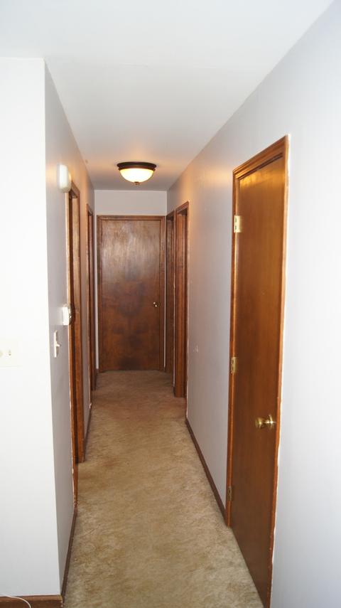 1730 Daisy St, Aurora, IL 60505 photo 19