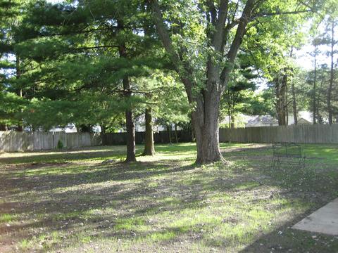 7 Circle Ct, Montgomery, IL 60538 photo 26