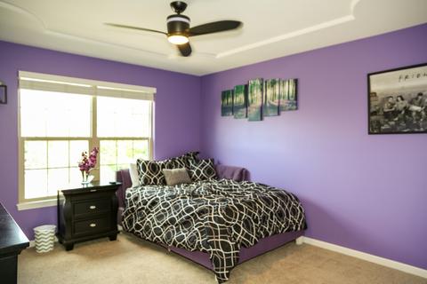 13534 Arborview Cir, Plainfield, IL 60585 photo 21