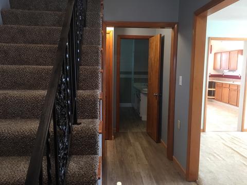 428 E 2nd St, Spring Valley, IL 61362 photo 13