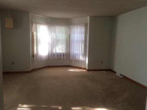 428 E 2nd St, Spring Valley, IL 61362 photo 5