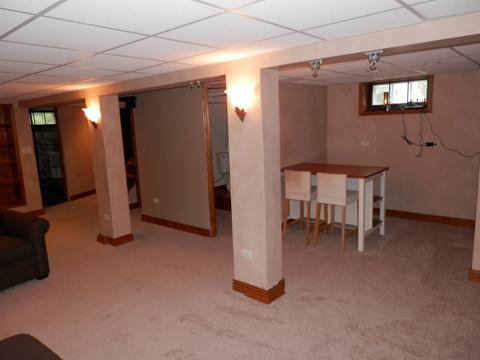 116 W Maple Ave, Roselle, IL 60172 photo 18
