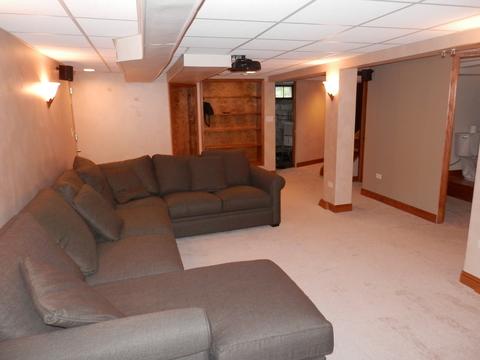 116 W Maple Ave, Roselle, IL 60172 photo 20