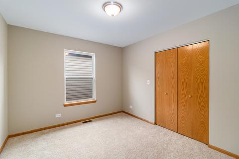 3853 E 110th St, Chicago, IL 60617 photo 17