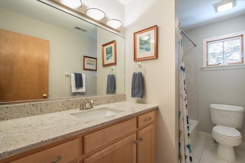 307 E Washington Ave, Lake Bluff, IL 60044 photo 17