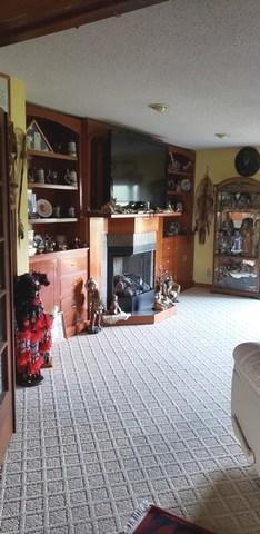 192 Palmyra Rd, Dixon, IL 61021 photo 14