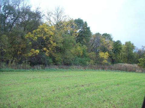 7511 N 2500 Ave, Walnut, IL 61376 photo 5