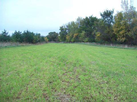 7511 N 2500 Ave, Walnut, IL 61376 photo 4