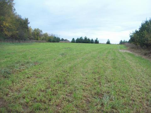 7511 N 2500 Ave, Walnut, IL 61376 photo 3