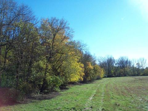 7511 N 2500 Ave, Walnut, IL 61376 photo 11