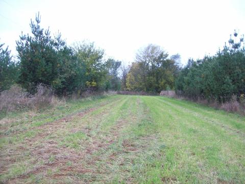 7511 N 2500 Ave, Walnut, IL 61376 photo 2