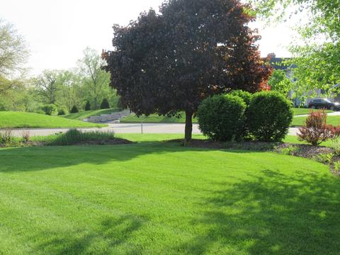 1502 Providence Dr, Mchenry, IL 60051 photo 38