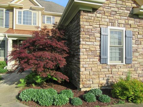 1502 Providence Dr, Mchenry, IL 60051 photo 5