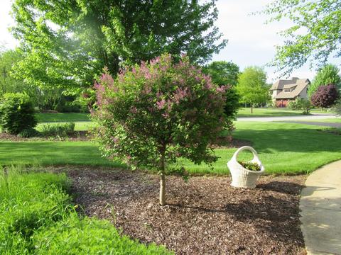 1502 Providence Dr, Mchenry, IL 60051 photo 39