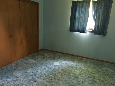303 E Ririe Pl N, Flanagan, IL 61740 photo 9