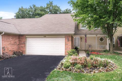 520 Shagbark Dr, Elgin, IL 60123 photo 1
