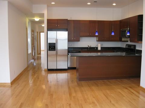429 E 45th Pl, Chicago, IL 60653 photo 16