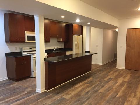 429 E 45th Pl, Chicago, IL 60653 photo 27