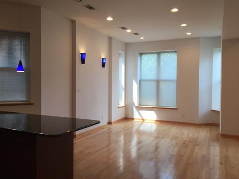 429 E 45th Pl, Chicago, IL 60653 photo 18