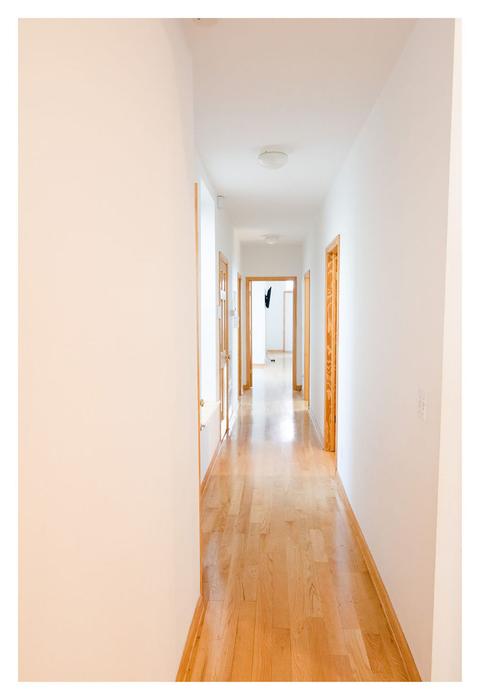 429 E 45th Pl, Chicago, IL 60653 photo 19