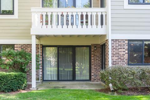 1104 Wildberry Ct #D1, Wheeling, IL 60090 photo 12